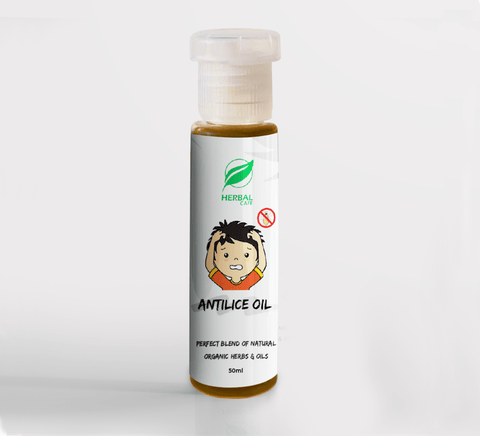 Antilice Oil - HerbalCafePK